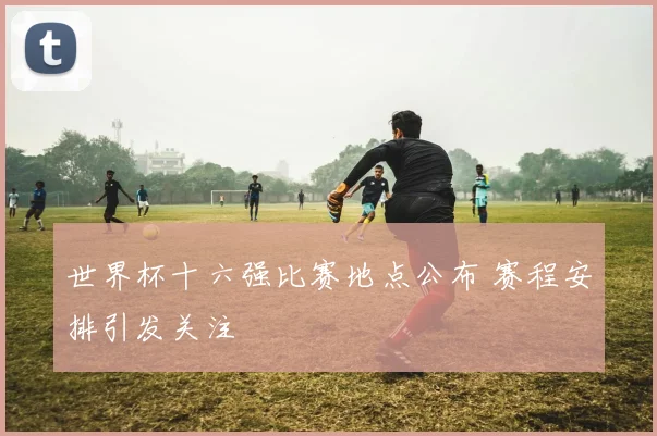 世界杯十六强比赛地点公布 赛程安排引发关注